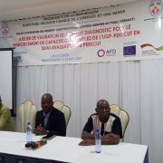 Atelier de validation du rapport diagnostic de la mission de mise en place d&rsquo;un système de suivi évaluation et de renforcement de capacité des membres de L&rsquo;UGP PERECUT.